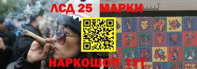 прущие грибы Краснокаменск