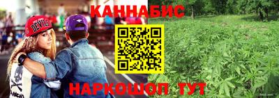 СК Краснодар
