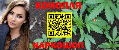 СК Краснодар